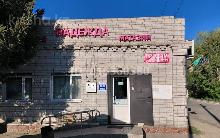 Дүкендер мен бутиктер · 100 м², бағасы: 20 млн ₸ в Новой Шульбе — фото 2