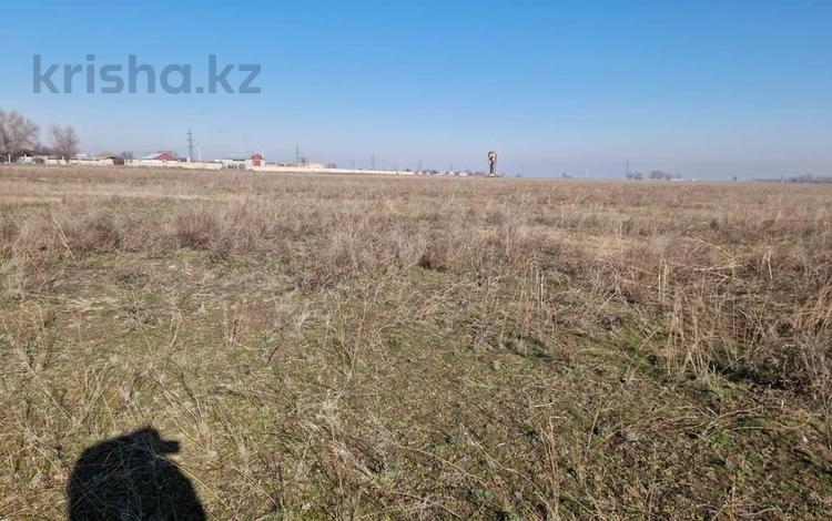 Жер телімі · 100 сотық, Сорбулакский тракт, бағасы: 210 млн ₸ в  — фото 2