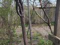 Отдельный дом · 3 комнаты · 50 м² · 6 сот., квартал Жулдыз 421 за 17 млн ₸ в Шымкенте, Енбекшинский р-н — фото 9