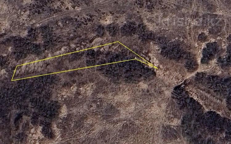 Участок · 12 соток, Сарыарка р-н за 4 млн 〒 в Астане — фото 5