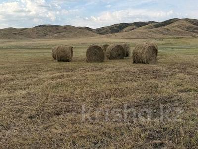 Участок · 4181 га, Ленина 2 за 170 млн ₸ в Караул
