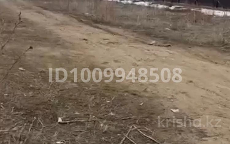 Участок · 8 соток, Алатау 51 за 6 млн ₸ в Кольди — фото 2