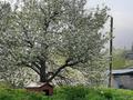 Участок · 58 соток, Д.Кунаева 1 за 115.9 млн ₸ в  — фото 6
