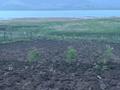 Жеке үй · 3 бөлме · 100 м² · 20 жүзд., Данчева 12, бағасы: 24 млн ₸ в  — фото 12