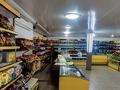 Магазины и бутики, общепит, бани, гостиницы и зоны отдыха · 840 м² за 35 млн ₸ в  — фото 3
