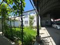 Отдельный дом · 8 комнат · 370 м² · 10 сот., мкр Акниет 829 за 120 млн ₸ в Шымкенте, Абайский р-н — фото 3