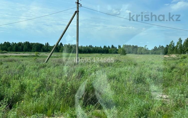 Жер телімі · 10 сотық, Аршалы, бағасы: 1 млн 〒 — фото 2