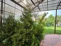Отдельный дом · 5 комнат · 235 м², мкр Таугуль-3, Шайкенова 7 — Напротив Тц Алматы Молл за 1.5 млн 〒 в Ауэзовский р-н — фото 2