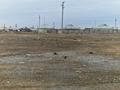 Участок · 80 соток, Наурызым 87 за 120 млн ₸ в Туркестане — фото 10