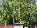 Саяжай · 3 бөлме · 50 м² · 6 жүзд., С/о Вымпел 98, бағасы: 5.8 млн ₸ в Уральске — фото 9