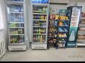 Отдельный дом · 4 комнаты · 98 м² · 10 сот., Болашак 39 за 45 млн ₸ в Астане, Сарыарка р-н — фото 15