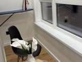 1-бөлмелі пәтер · 32 м² · 7/12 қабат, Сейфуллина 416 — Макатаева, бағасы: 20 000 ₸ в Алматы, Алмалинский р-н — фото 10