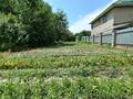 Отдельный дом · 4 комнаты · 54.4 м² · 12 сот., Кенесары Хана — Молодежная за 23.5 млн ₸ в  — фото 17
