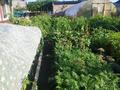 Часть дома · 3 комнаты · 80 м² · 6 сот., Мира 14/2 за 17 млн ₸ в Сарани — фото 6