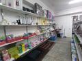 Магазины и бутики • 220 м² за 35 млн 〒 в Алматы, Жетысуский р-н — фото 7