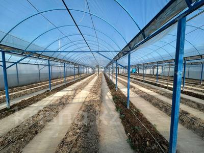 Теплица · 1000 м² за 56 млн 〒 в Талдыкоргане