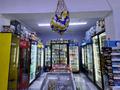 Магазины и бутики · 121 м² за 68 млн ₸ в Алматы, Наурызбайский р-н — фото 14