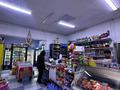 Магазины и бутики · 121 м² за 68 млн ₸ в Алматы, Наурызбайский р-н — фото 16