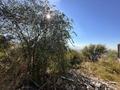 Участок · 8.5 соток, Курортная 71 за 50 млн 〒 в Алматы, Бостандыкский р-н — фото 8