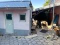 Отдельный дом · 5 комнат · 70 м² · 1 сот., Узбекова 60 за 23 млн ₸ в Тюлькубасе — фото 4