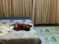 5-бөлмелі пәтер · 135 м² · 1/5 қабат, Спутник 26 — Алинұр магазин жанында, бағасы: 55 млн ₸ в Конаеве — фото 13