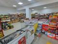 Свободное назначение, магазины и бутики, склады · 400 м² за 1.5 млн ₸ в Аркалыке — фото 9