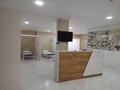 Медорталықтар мен дәріханалар · 330 м², бағасы: 150 000 ₸ в Каскелене — фото 2