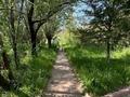 Сельское хозяйство · 130 м² за 120 млн ₸ в Боралдай — фото 35
