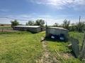 Сельское хозяйство · 130 м² за 120 млн ₸ в Боралдай — фото 9