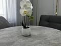 1-комнатная квартира · 45 м² · 4/9 этаж, Толеметова 106/3 за 15 000 ₸ в Шымкенте, Абайский р-н — фото 6