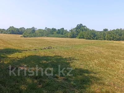 Участок · 2.85 га, Бирлик за 110 млн 〒