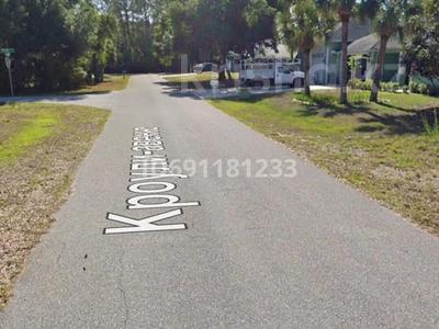 Участок 10 соток, 17089 Crowley Avenue Port Charlotte FL 33954 за 10 млн 〒 в Орландо