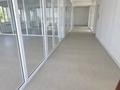 Свободное назначение · 600 м² за 3.6 млн ₸ в Шымкенте, Енбекшинский р-н — фото 14