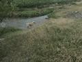 Жеке үй · 2 бөлме · 100 м² · 18 жүзд., Демисинова 105а, бағасы: 30 млн ₸ в Турген — фото 13