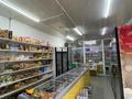 Магазины и бутики · 150 м² за 50 млн ₸ в Алматы, Турксибский р-н — фото 2
