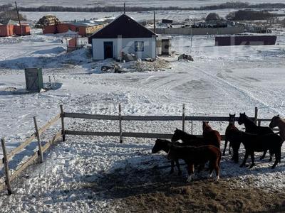 Откорм площадку с базой · 10000 м², бағасы: 70 млн 〒 в Актобе