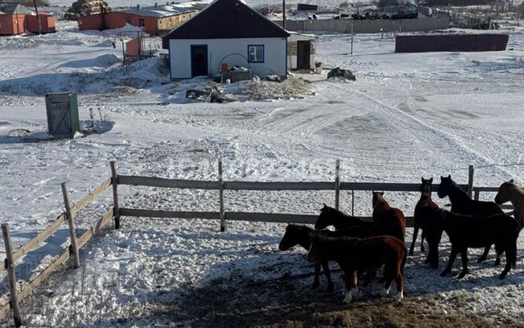 Откорм площадку с базой · 10000 м², бағасы: 70 млн 〒 в Актобе — фото 2