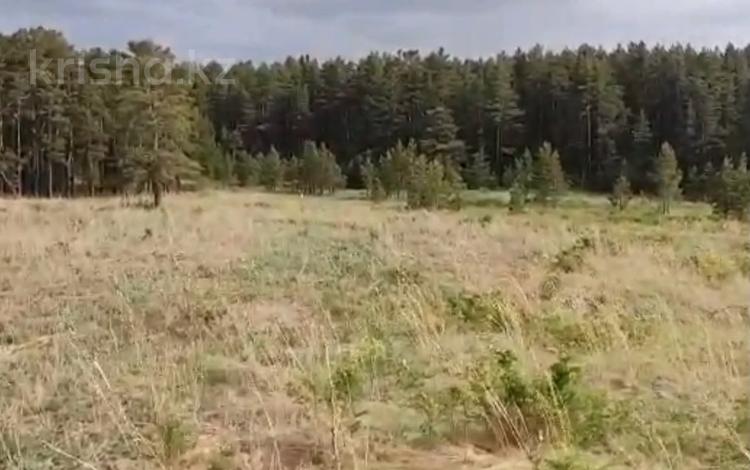 Жер телімі · 52 сотық, Бурабай (Боровое), бағасы: 20 млн ₸ — фото 2