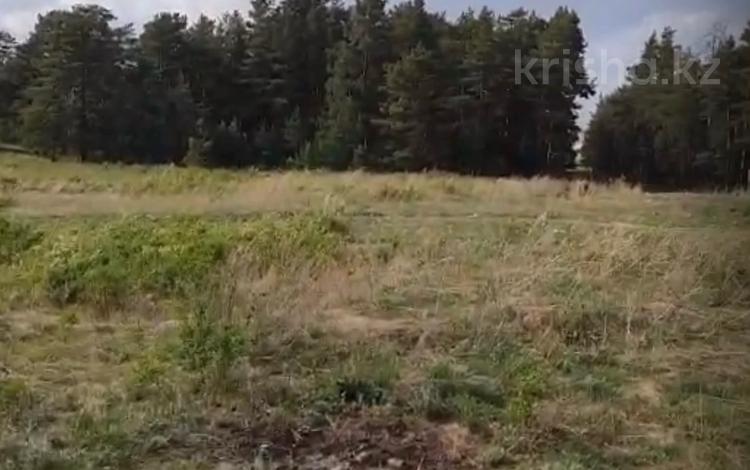 Жер телімі · 52 сотық, Бурабай, бағасы: 15 млн ₸ в Бурабае — фото 3