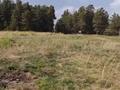 Жер телімі · 52 сотық, Бурабай (Боровое), бағасы: 20 млн ₸ — фото 8