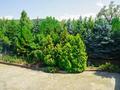 Еркін, кеңселер · 1300 м², бағасы: 2.3 млрд ₸ в Алматы, Медеуский р-н — фото 23