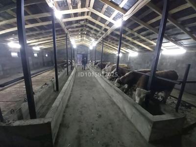 Дача · 10 комнат · 220 м² · 8 сот., Казыбек би 123 за 65 млн ₸ в Подстепном