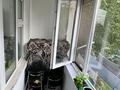 2-бөлмелі пәтер · 60 м² · 2/9 қабат, Қонаев ш/а., бағасы: 28.5 млн ₸ в Уральске, мкр Кунаева — фото 8