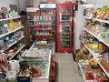 Дүкендер мен бутиктер · 30 м², бағасы: 250 000 ₸ в Алматы, Алмалинский р-н — фото 6