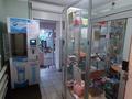 Магазины и бутики • 93.5 м² за 35 млн 〒 в Петропавловске — фото 5