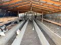 Қоймалар, ауыл шаруашылығы · 600 м², бағасы: 119.9 млн ₸ в  — фото 35