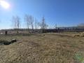 Участок · 10 соток, Зелёная 1 г за 3.5 млн ₸ в Бишкуле