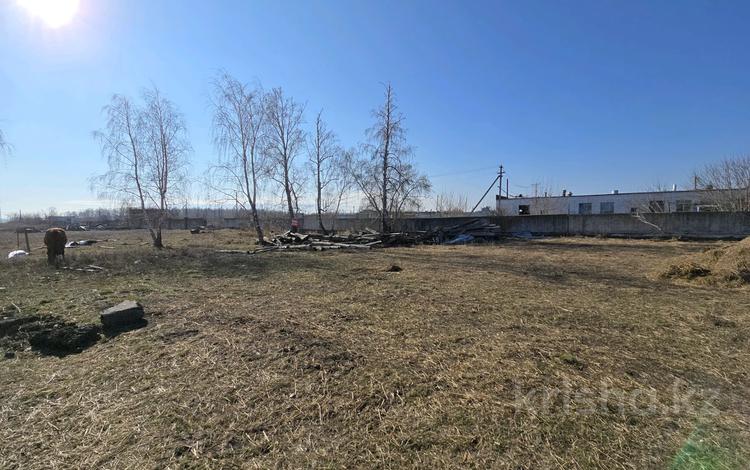 Участок · 10 соток, Зелёная 1 г за 3.5 млн ₸ в Бишкуле — фото 5