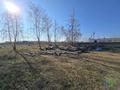 Участок · 10 соток, Зелёная 1 г за 3.5 млн ₸ в Бишкуле — фото 2