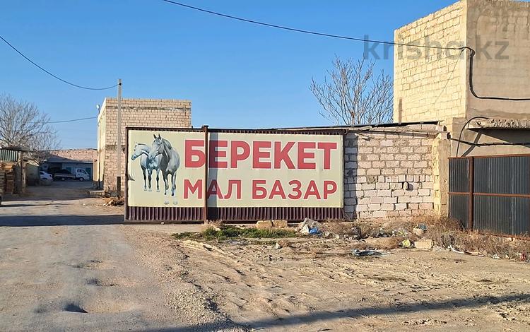 Сельское хозяйство · 1.2 м² за 200 млн ₸ в Приозёрном — фото 2